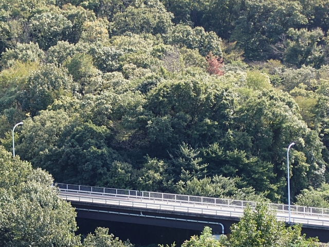 美建株式会社の現場